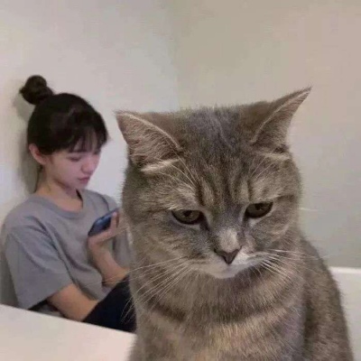 啊哈嗯哼莱昂纳德